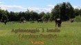 /album/galleria-foto-homepage1/agrimaneggio-jpg/
